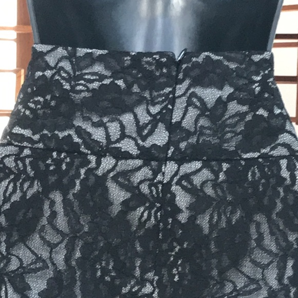 Picture do not give this skirt justice!! NWT- size 12 Skirt from the Limited. - Picture 4 of 8